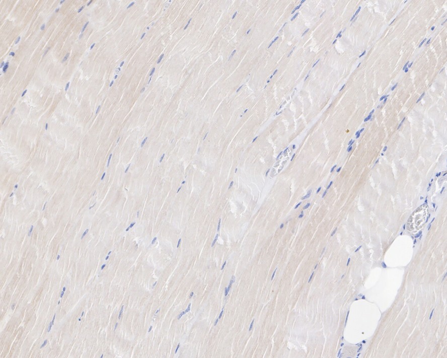 HA751022_2.jpg