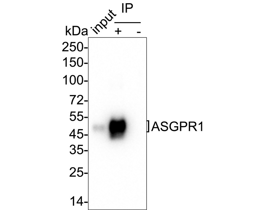 HA751041_5.jpg