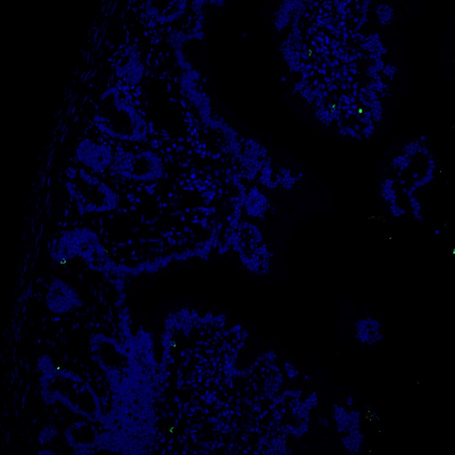 HA751044_10.jpg