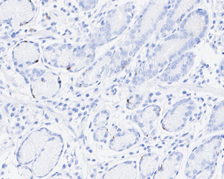 HA751044_4.jpg