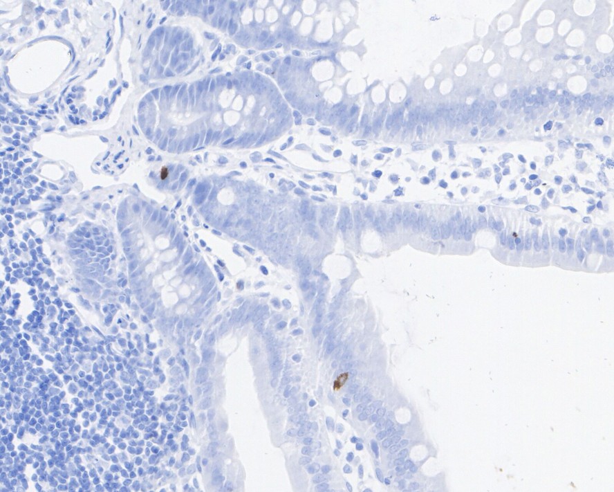 HA751044_7.jpg