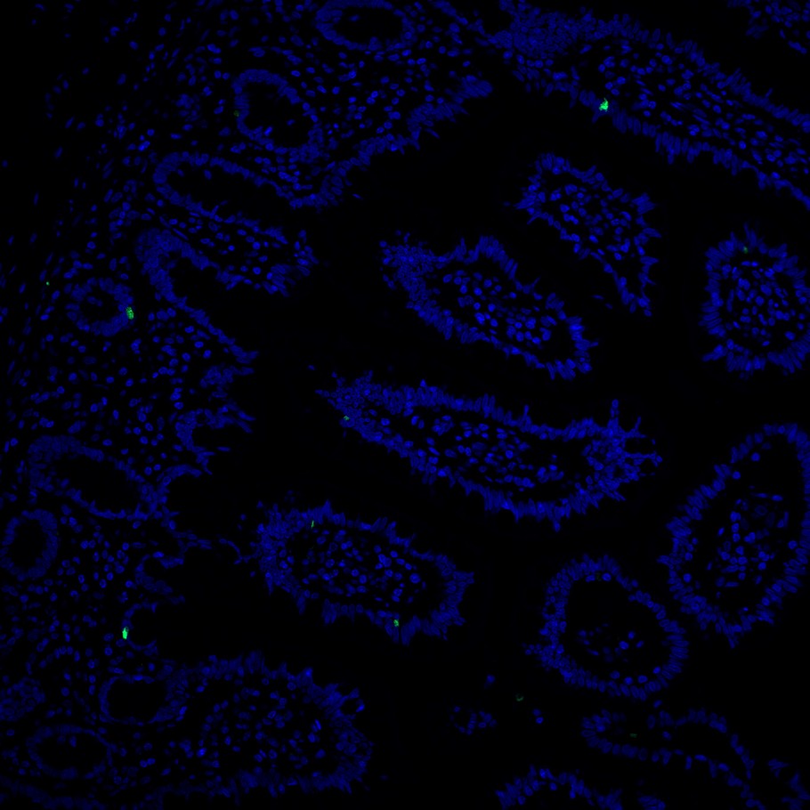 HA751044_8.jpg