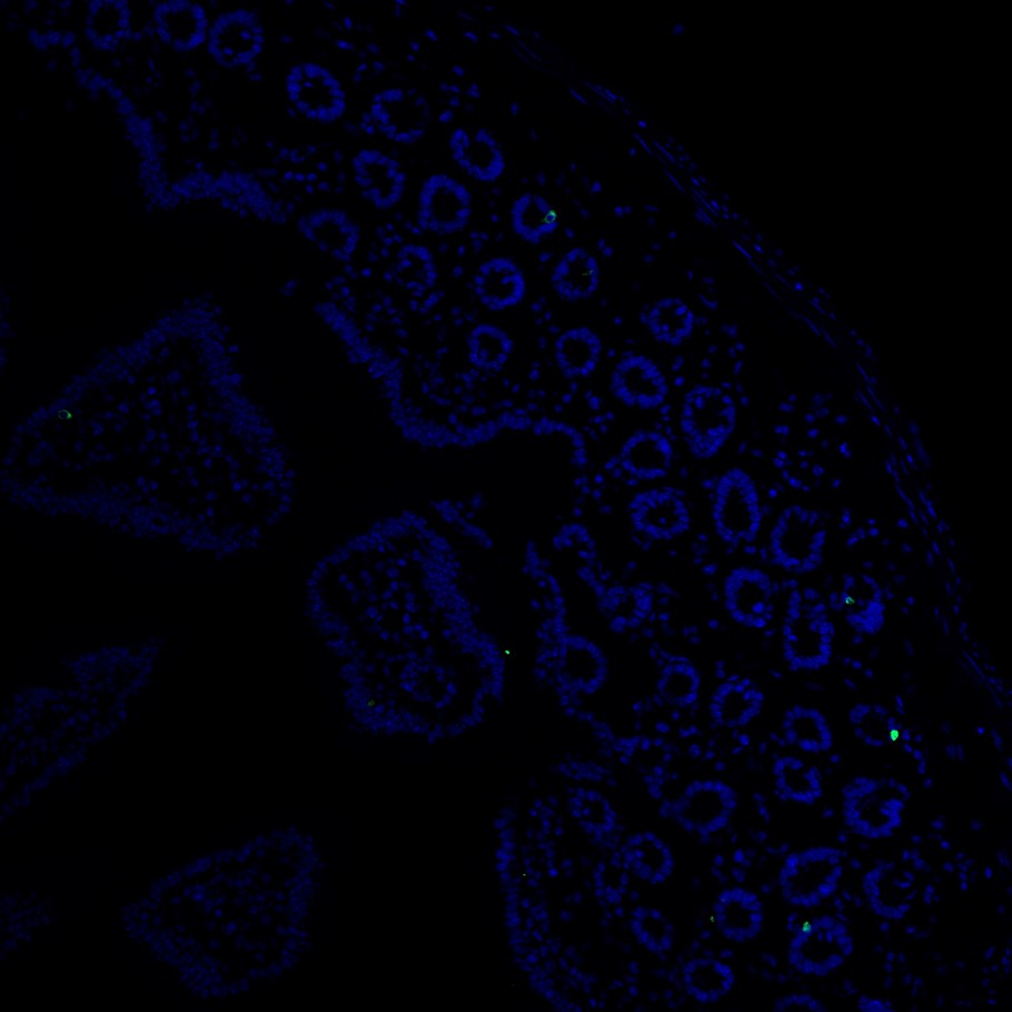 HA751044_9.jpg