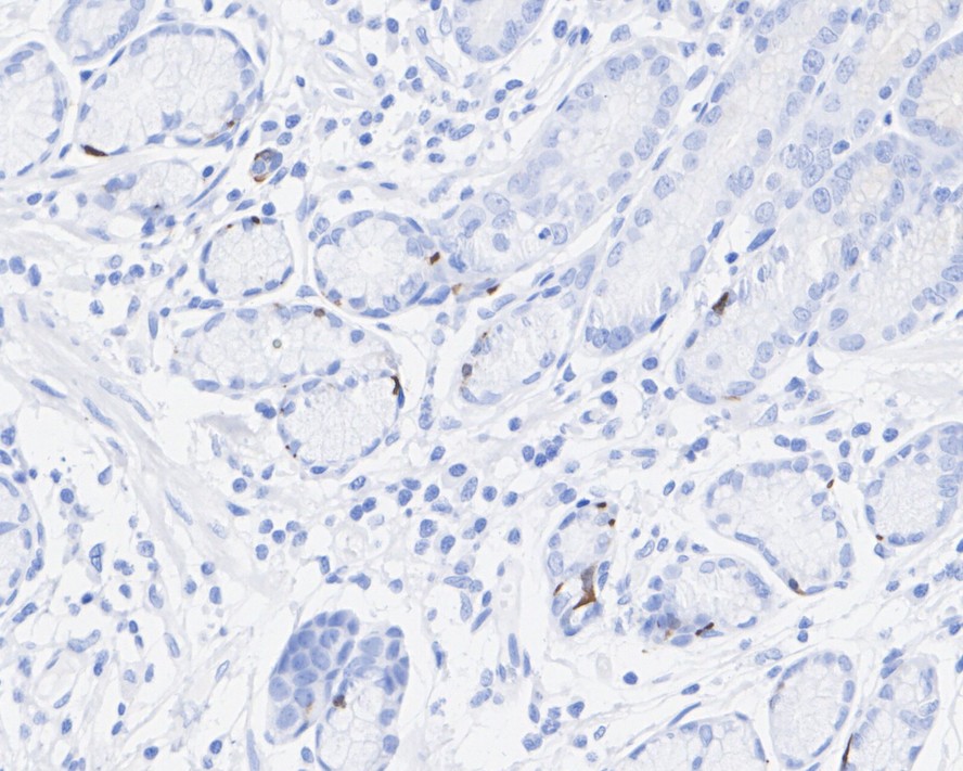 HA751045_2.jpg