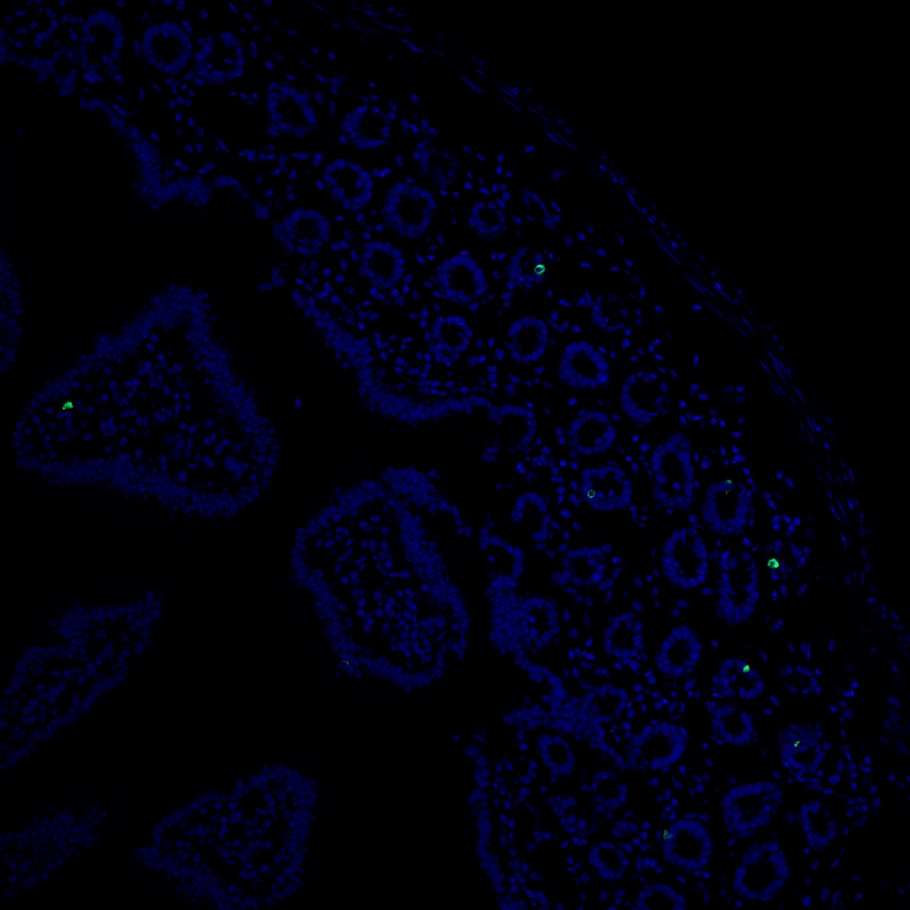 HA751045_7.jpg