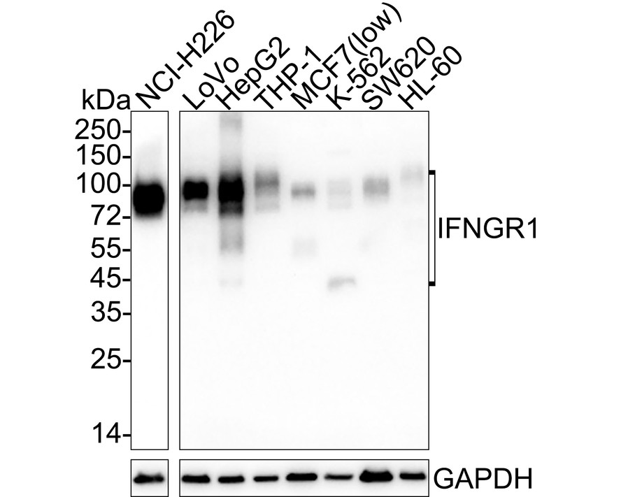 HA751049_1.jpg