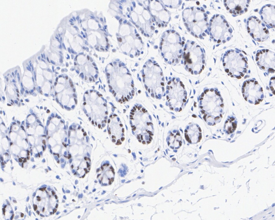 HA751051_4.jpg