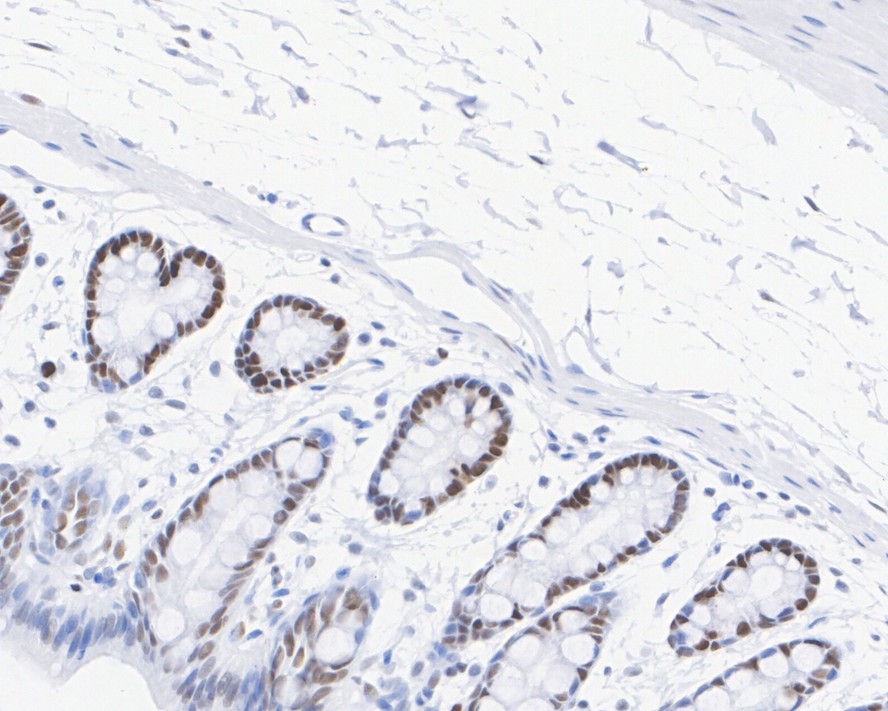 HA751051_6.jpg