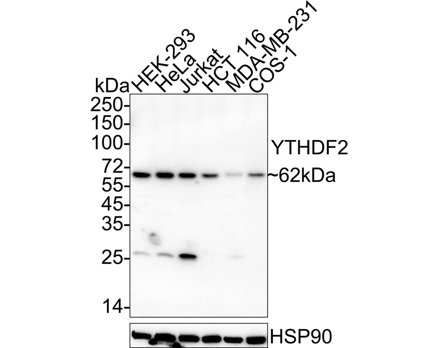 HA751055_1.jpg