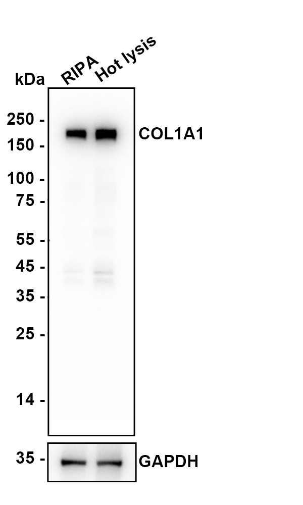 HA751058_2.jpg