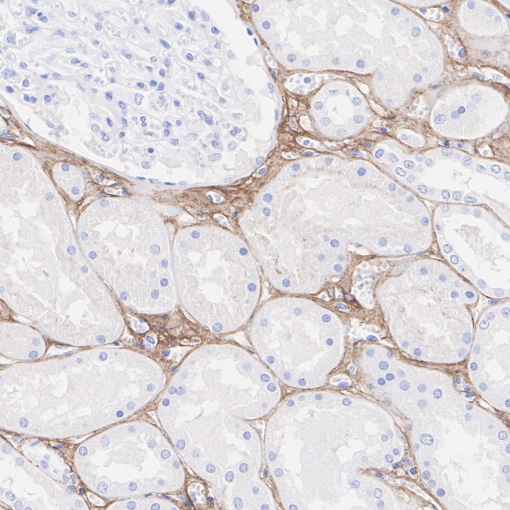 HA751058_5.jpg
