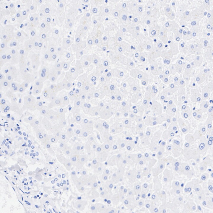 HA751059_7.jpg