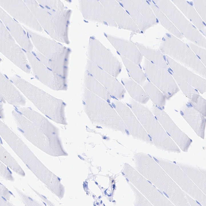 HA751059_9.jpg
