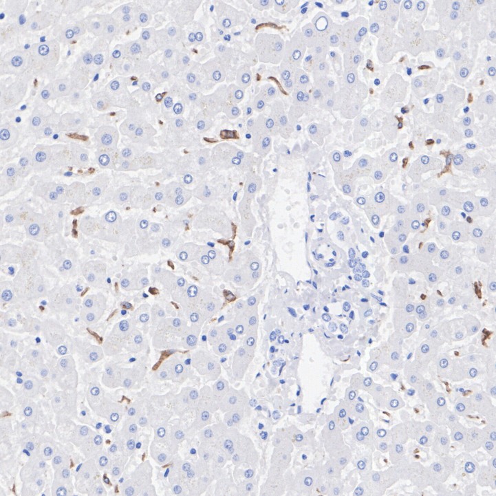 HA751083_2.jpg