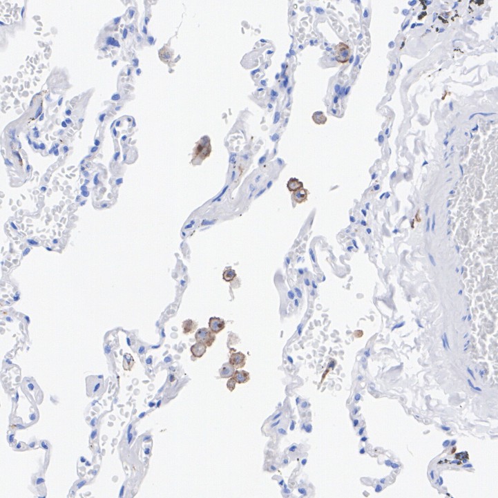HA751083_3.jpg