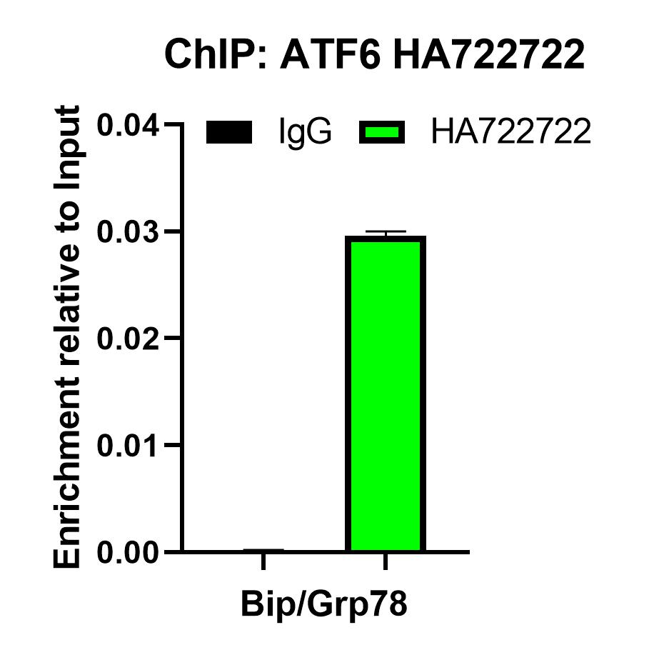 HA751087_4.jpg