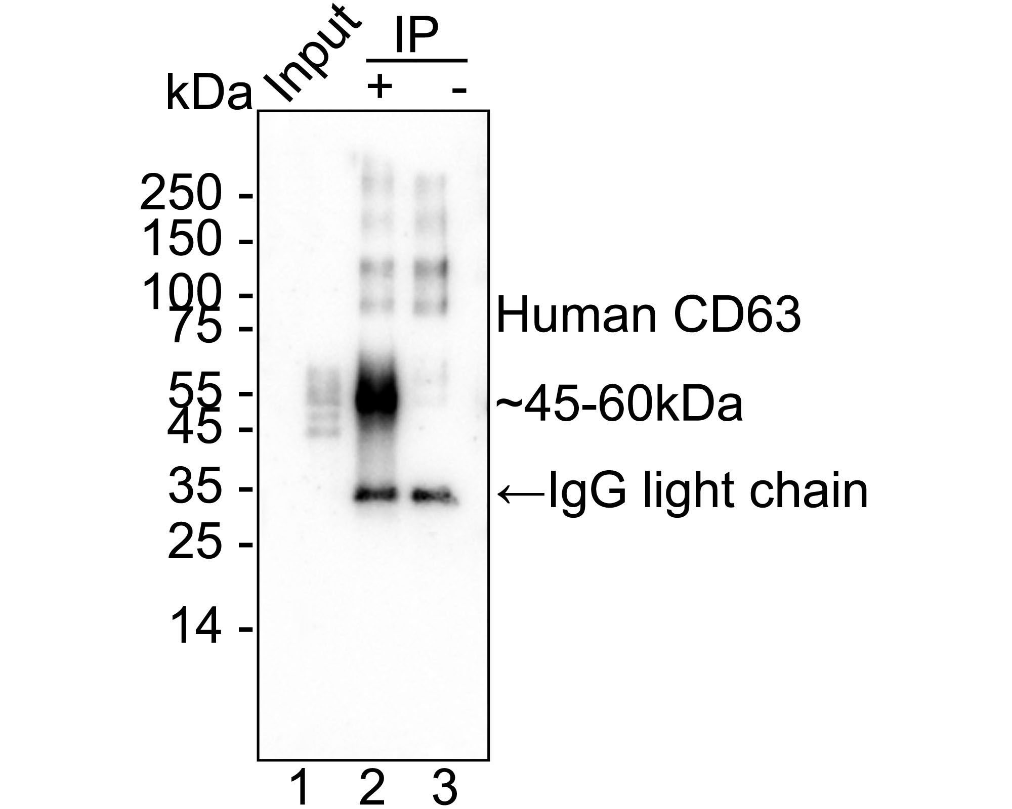 HA751088_5.jpg