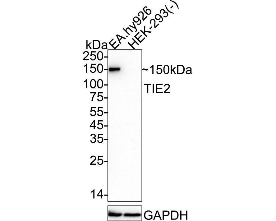 HA751089_1.jpg