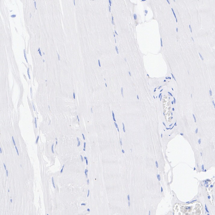 HA751090_3.jpg