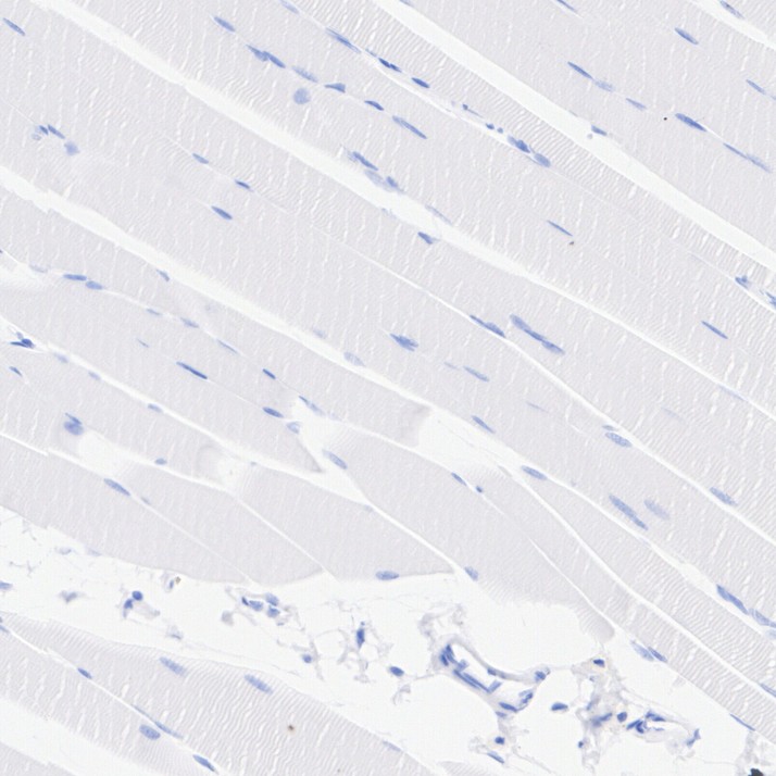 HA751090_7.jpg