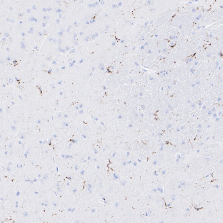 HA751094_6.jpg
