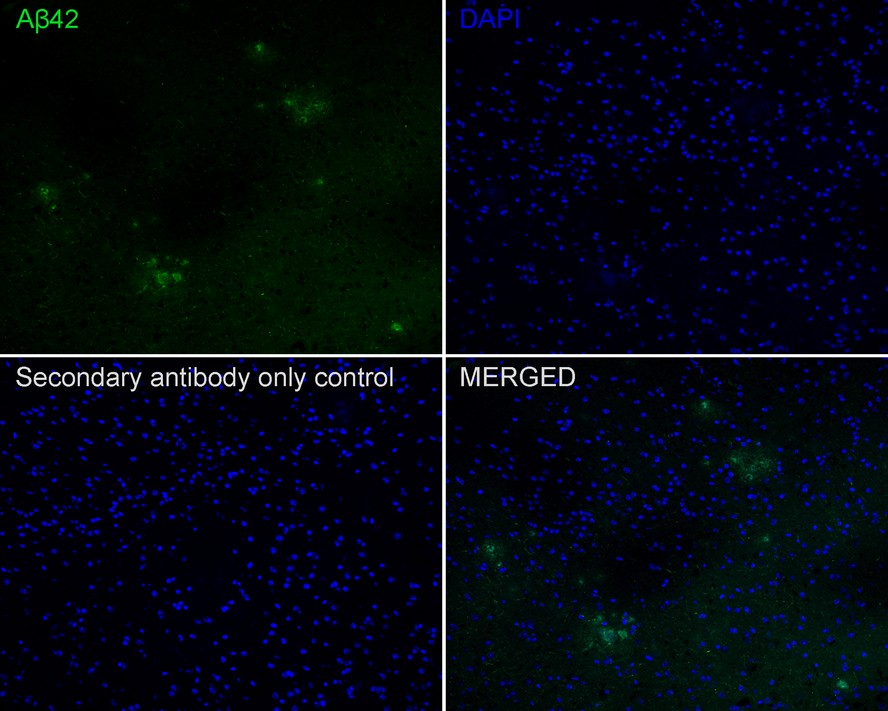 HA751103_4.jpg