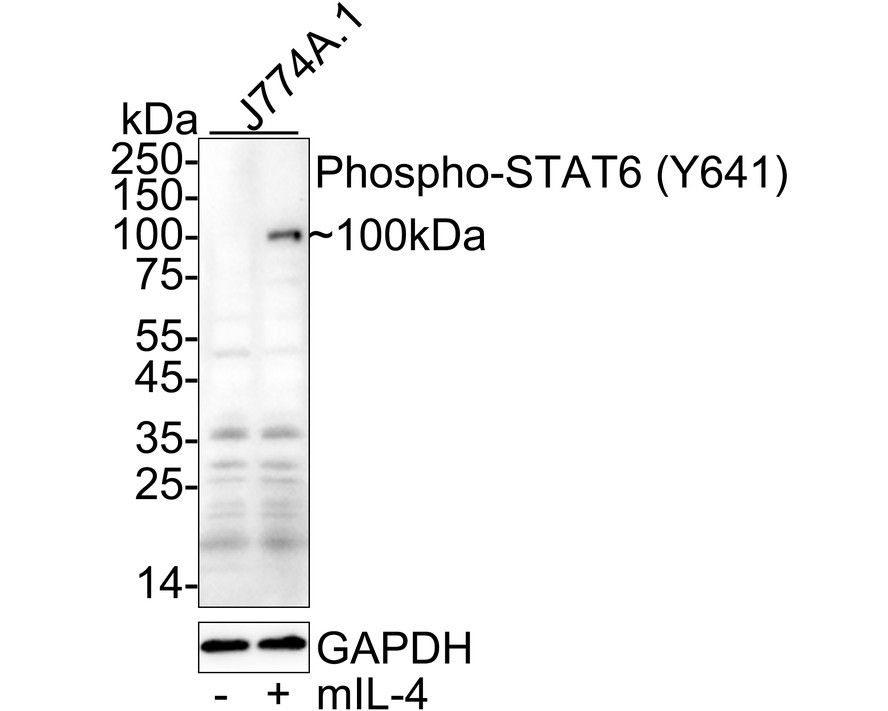 HA751125_2.jpg