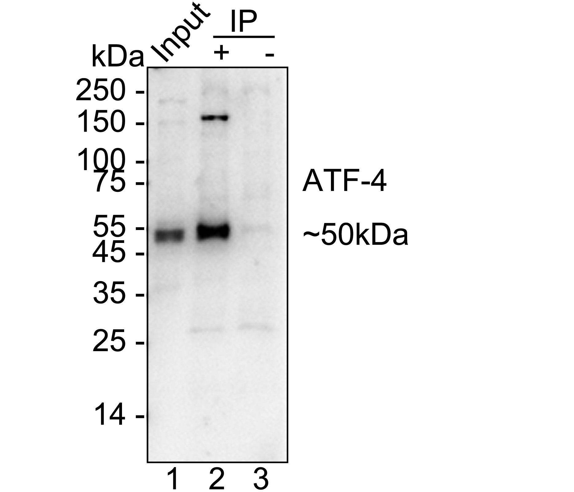 HA751130_3.jpg