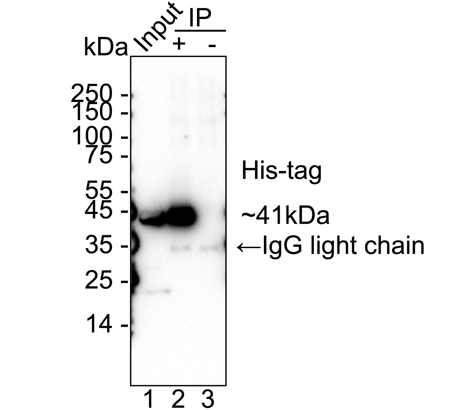HA751132_6.jpg