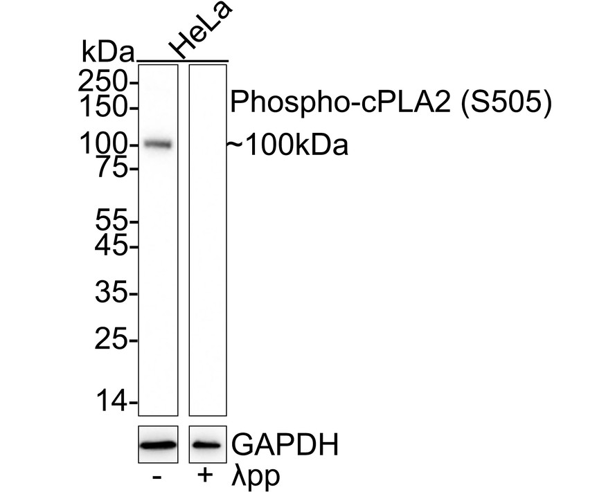 HA751137_1.jpg