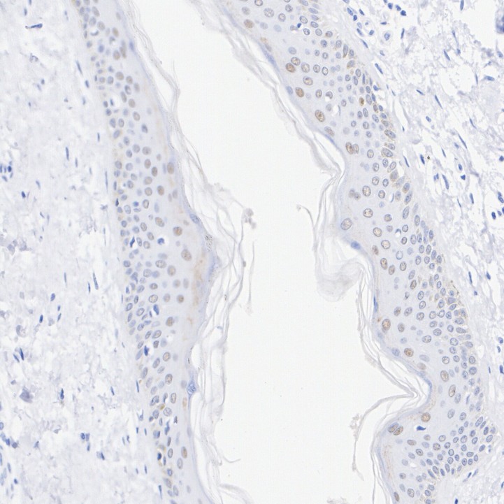 HA751140_3.jpg