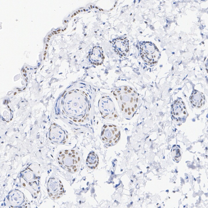 HA751140_4.jpg