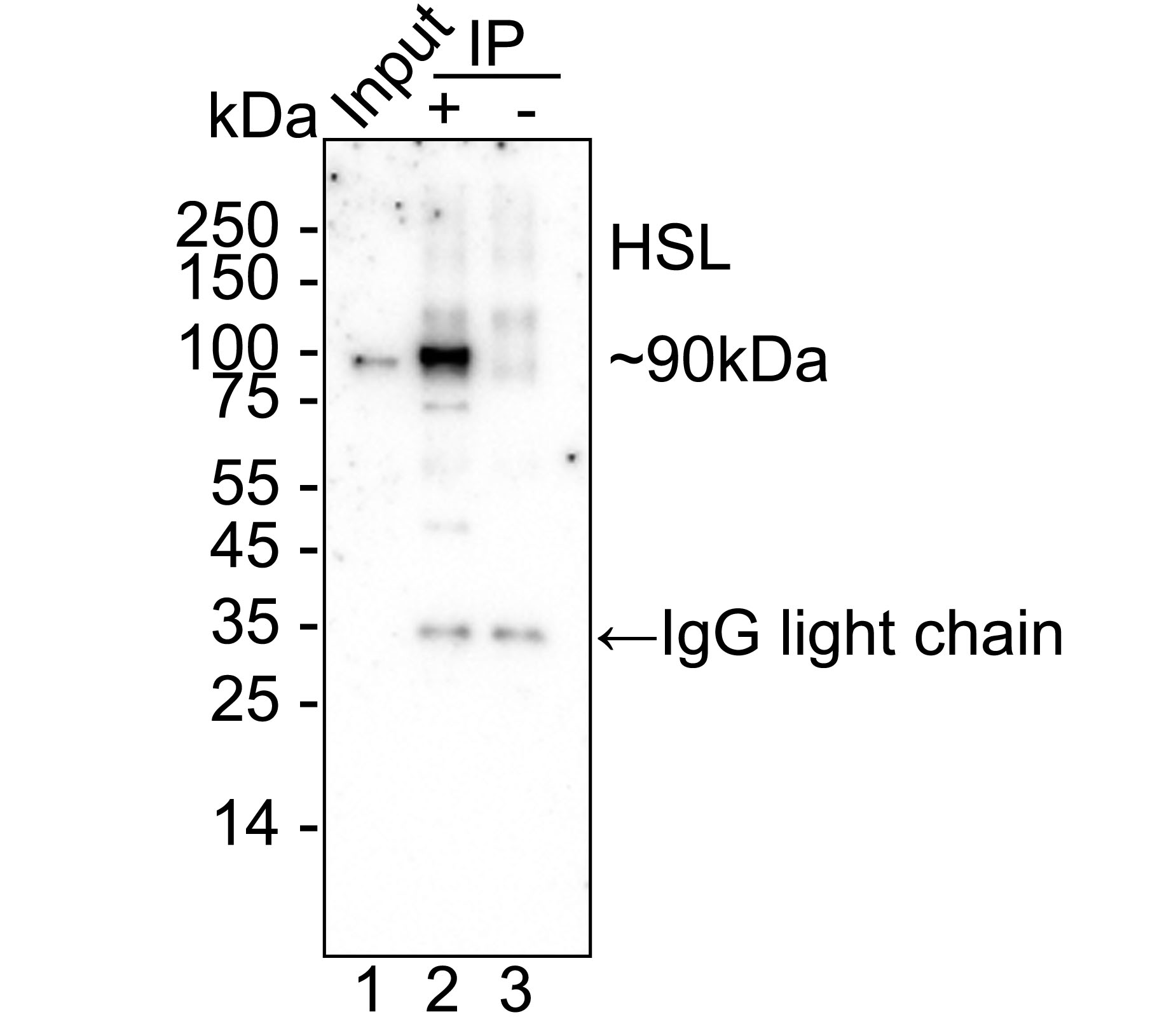 HA751143_6.jpg