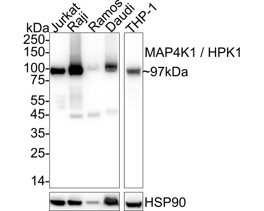 HA751145_1.jpg