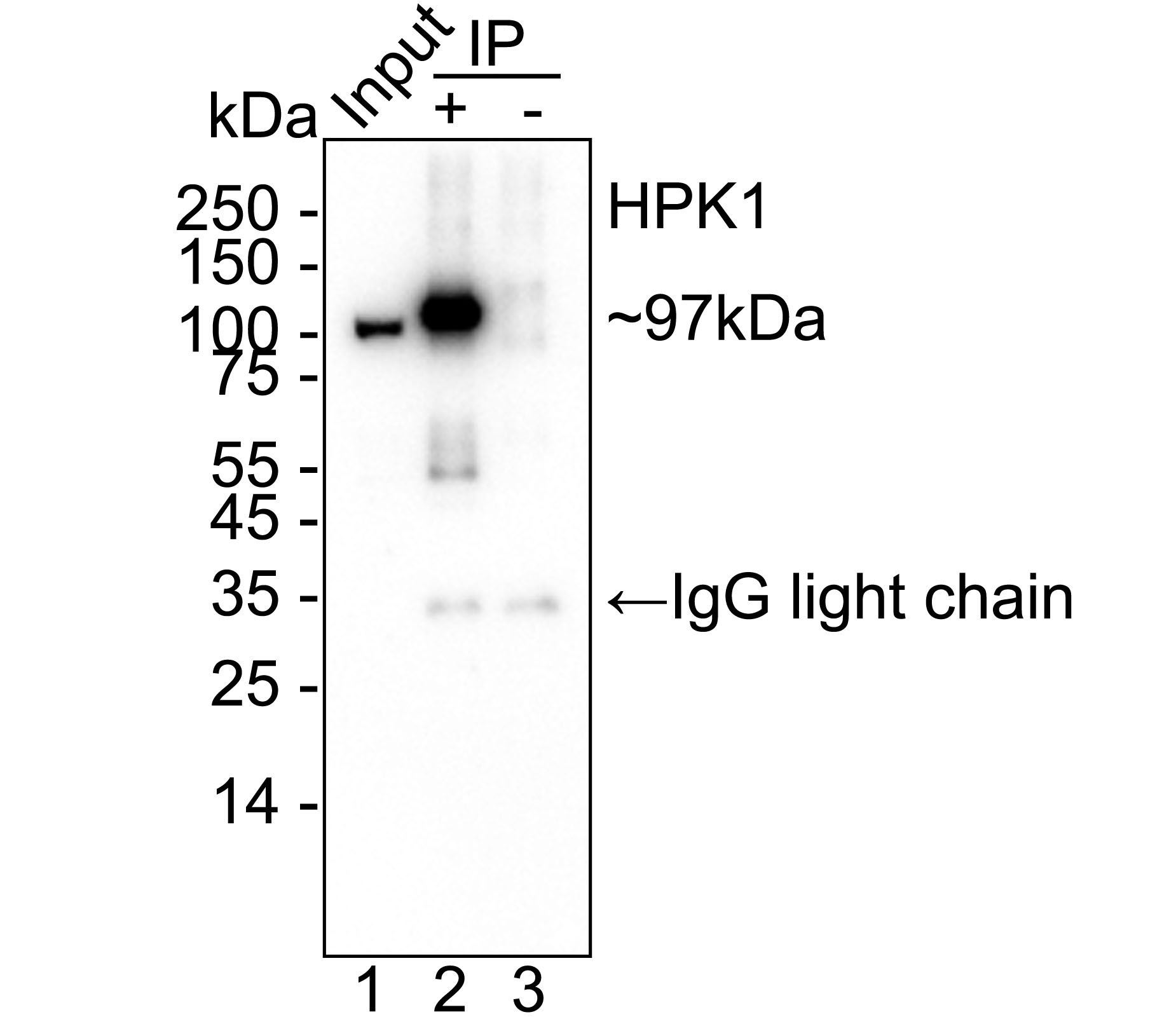 HA751145_4.jpg