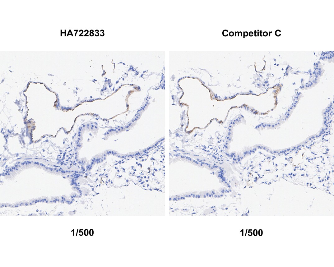 HA751166_5.jpg