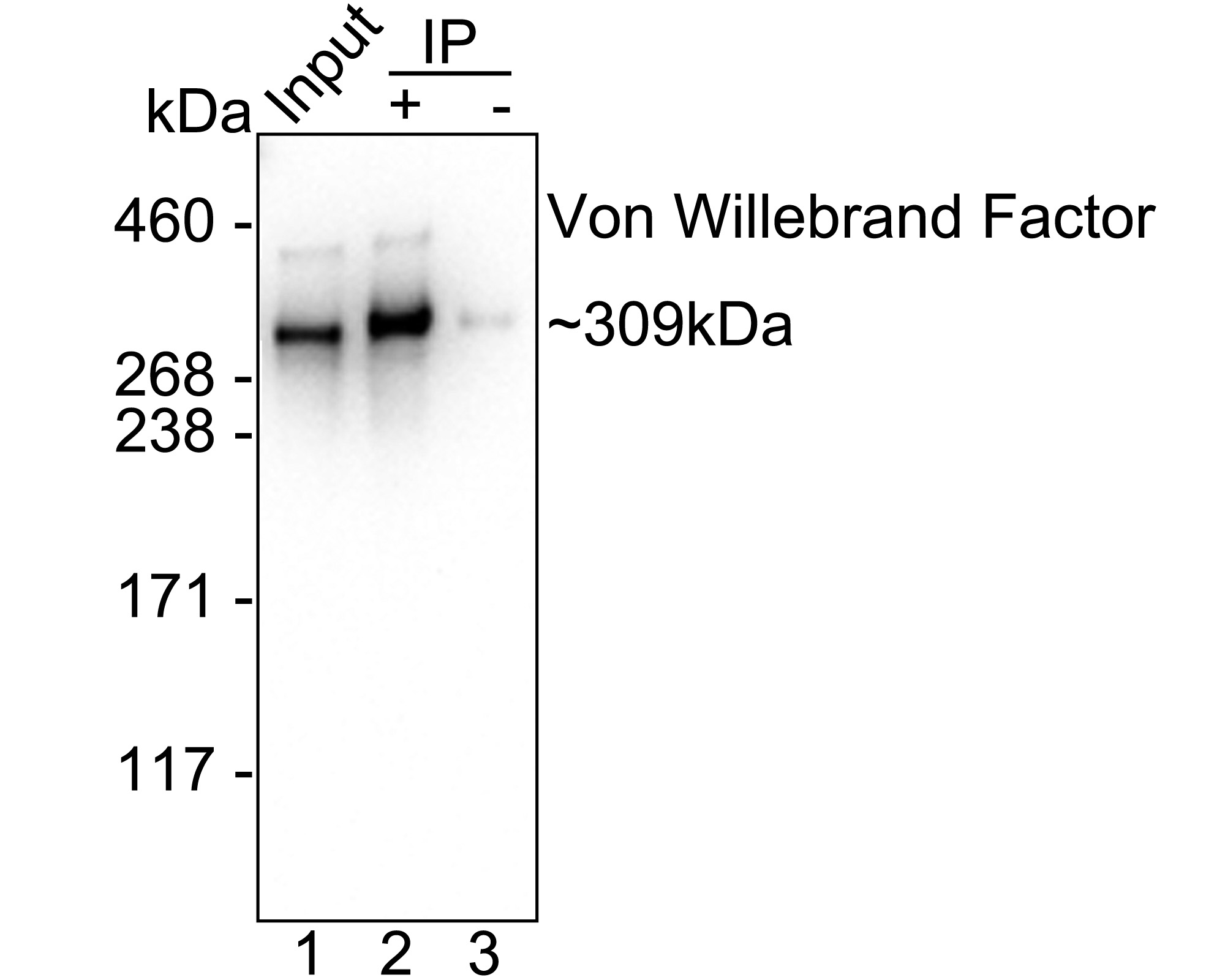 HA751166_9.jpg