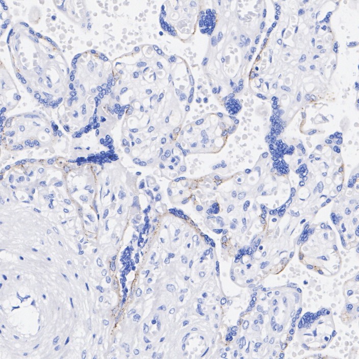 HA751167_3.jpg