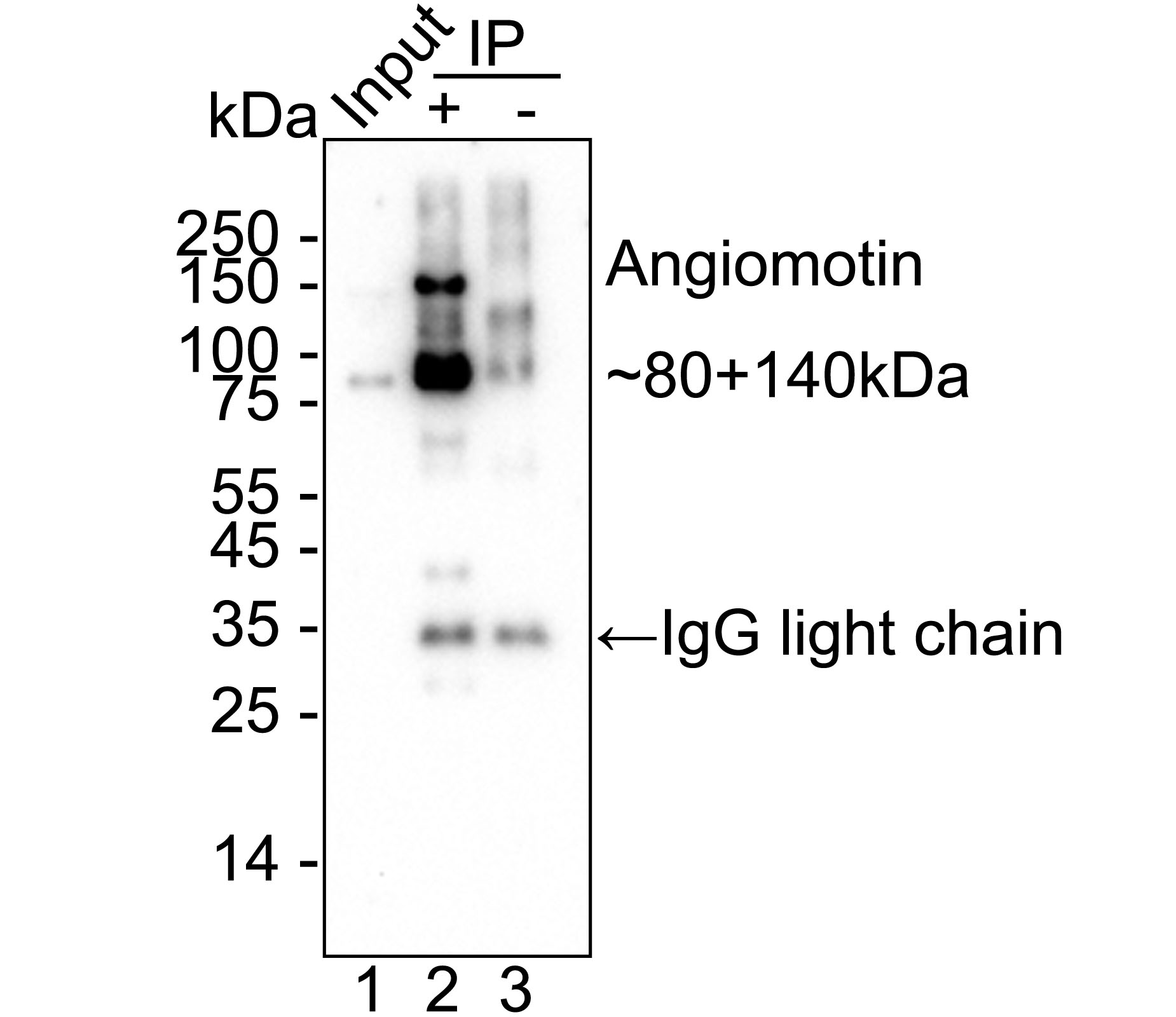 HA751167_5.jpg