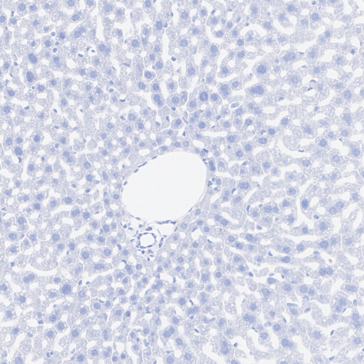 HA751168_5.jpg