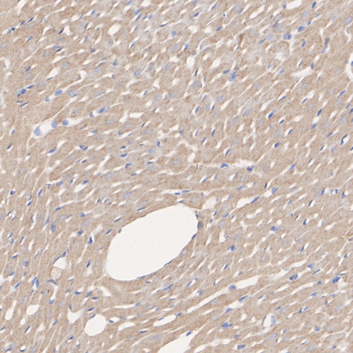 HA751170_4.jpg