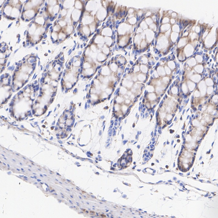 HA751171_6.jpg