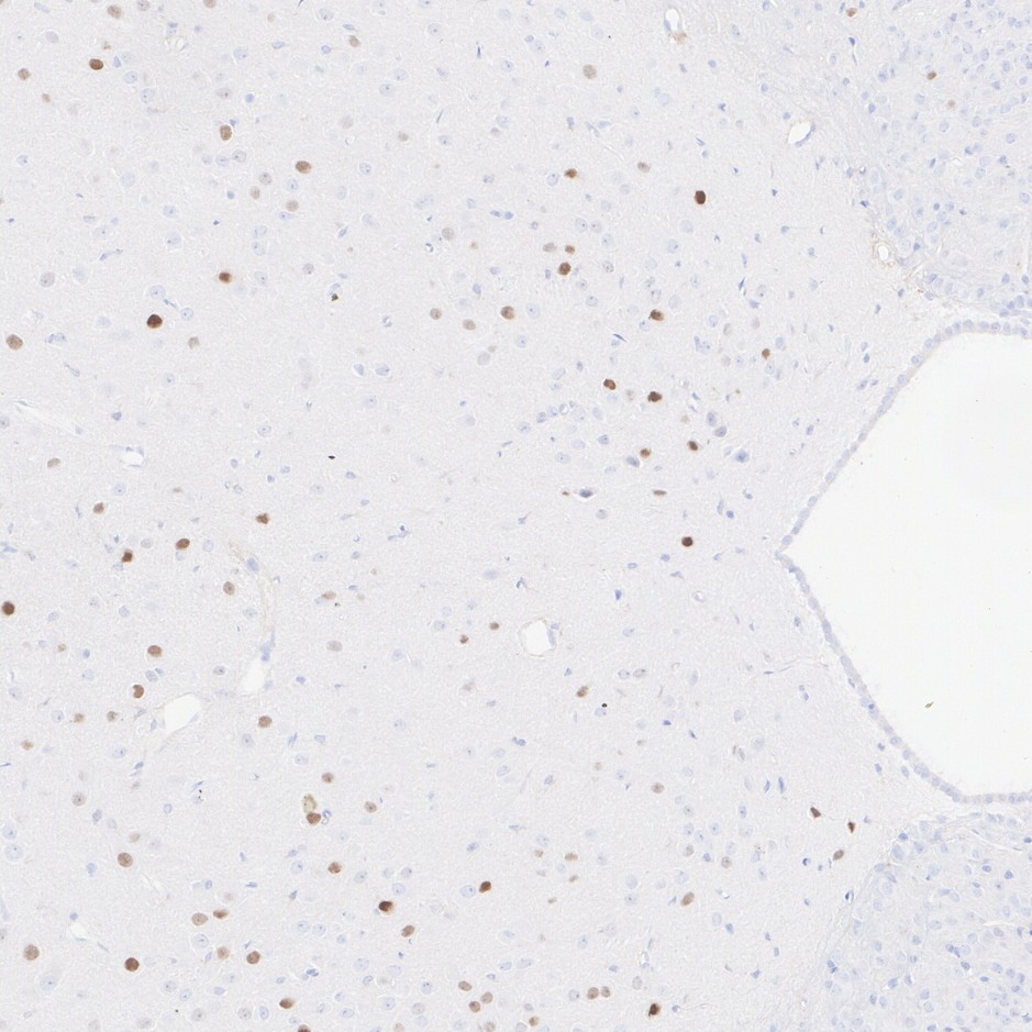 HA751172_6.jpg