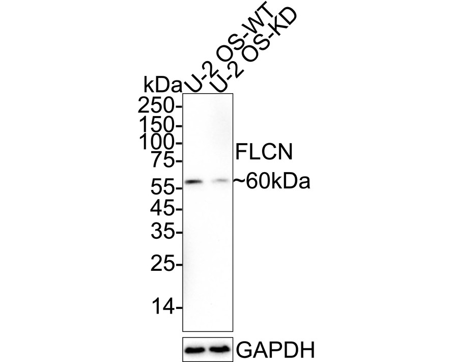 HA751180_2.jpg