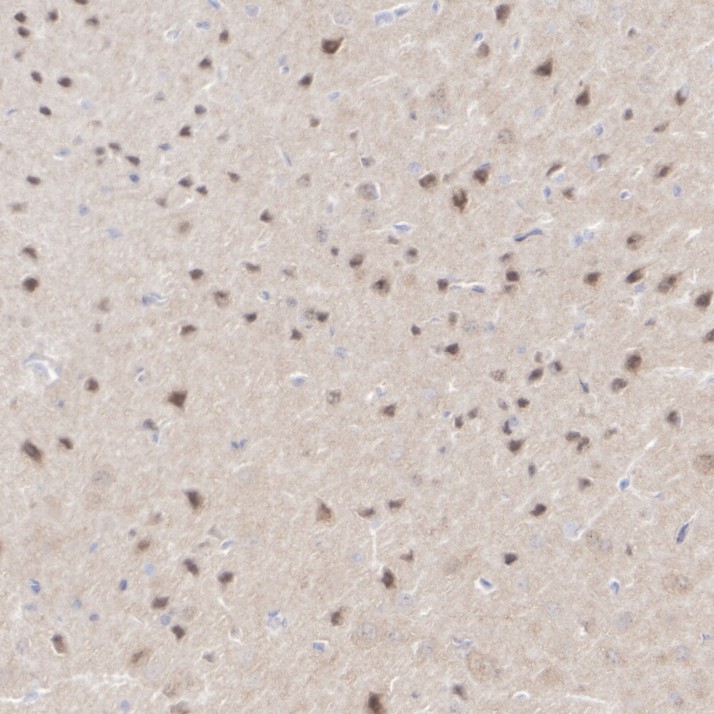 HA751180_6.jpg