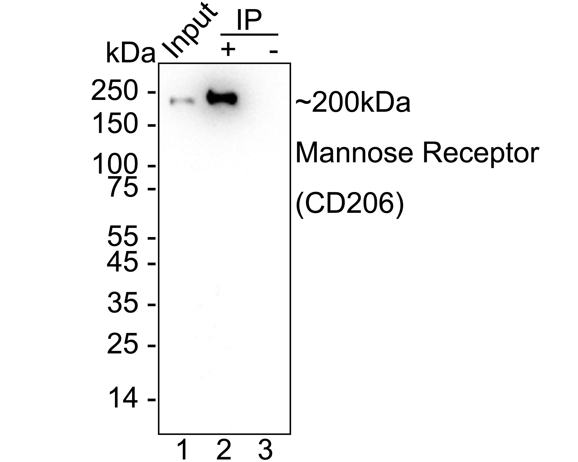 HA751188_14.jpg