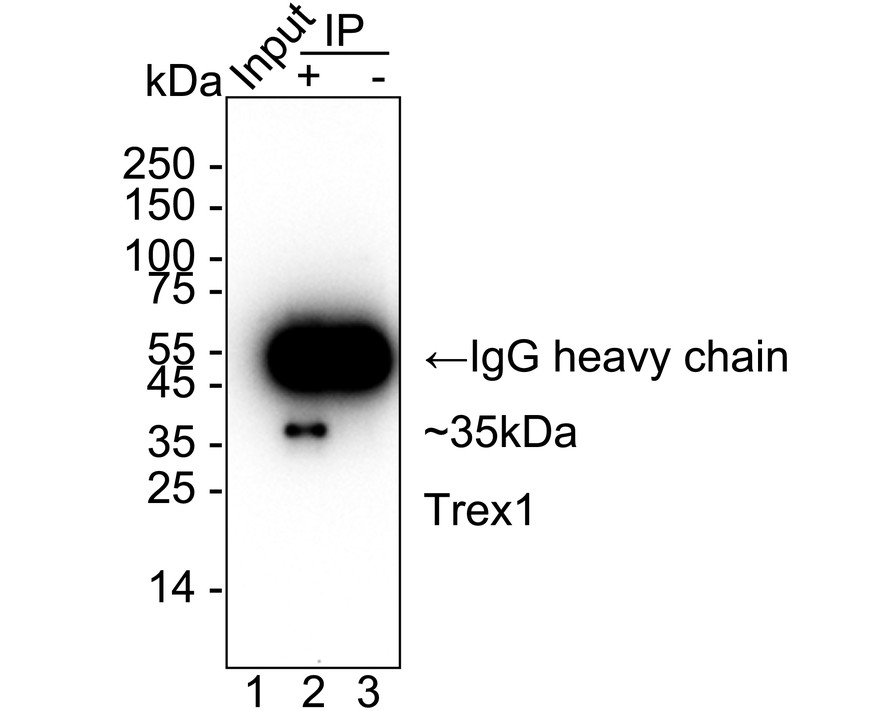 HA751249_3.jpg