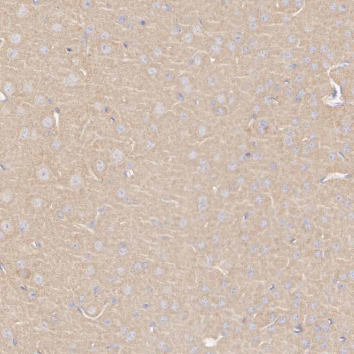 HA751251_2.jpg