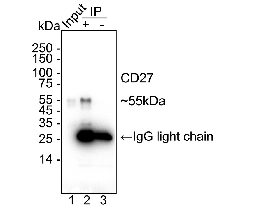 HA751255_5.jpg