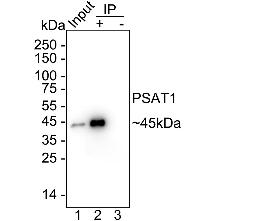 HA751260_7.jpg